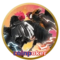 coinpoker